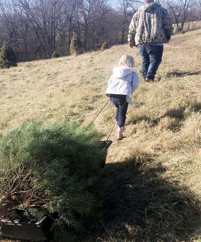 Dad helps her pick the perfect Christmas tree | coyotehill.org