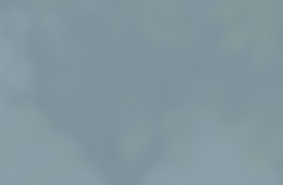 December 2011 Newsletter