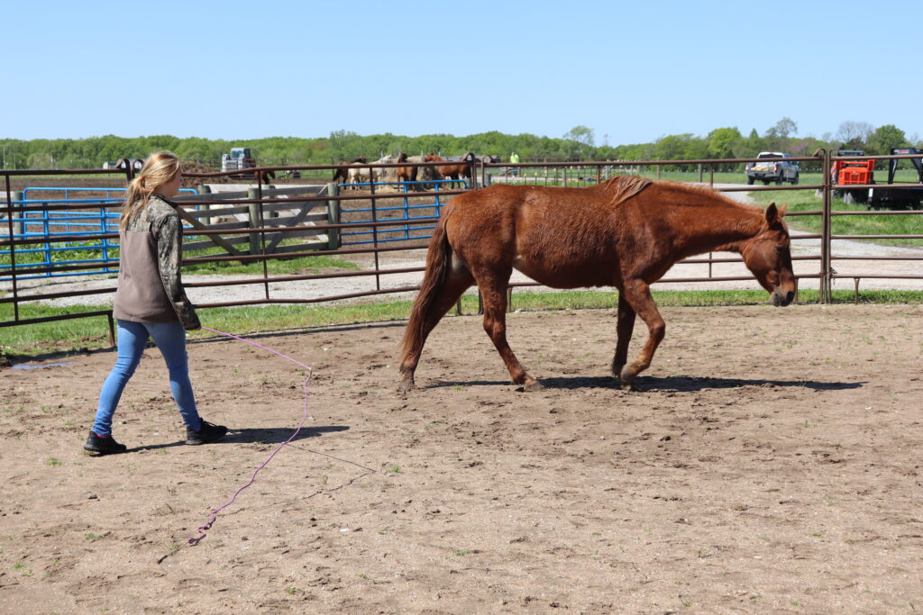 Work Experience Program - coyotehill.org