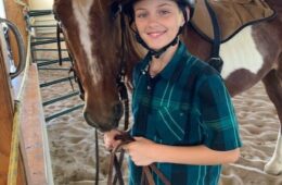 Equine Therapy Supporting Mental Health