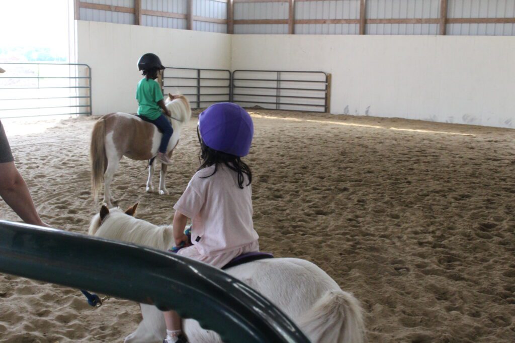 children riding small horses