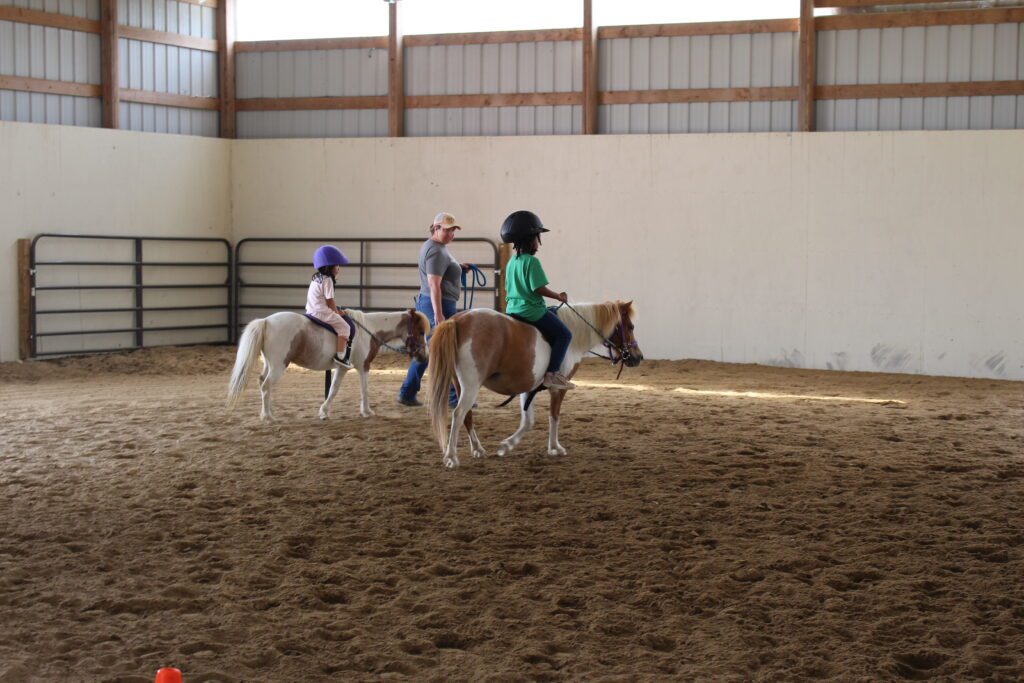 children riding small horses
