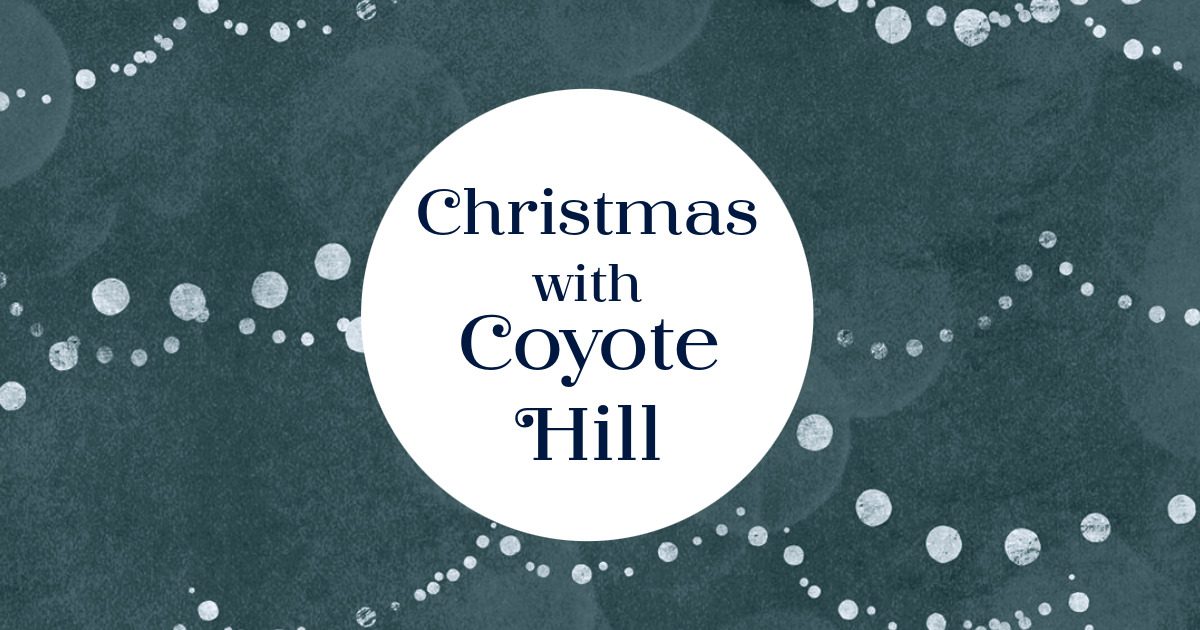 Christmas Sponsorship