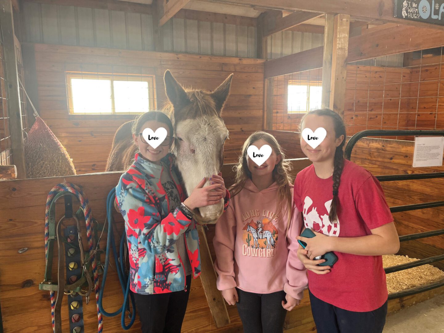 Celebrating Our Horses at Overton Arena