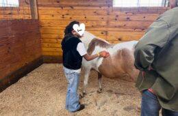 Discovering Confidence and Joy Through Horses