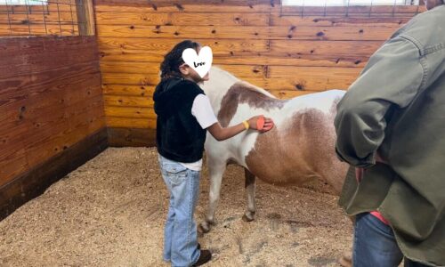 Discovering Confidence and Joy Through Horses