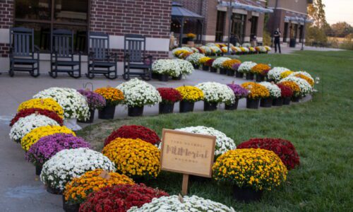 A Record-Breaking Night for Children in Foster Care