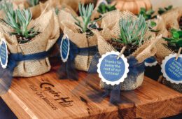 Celebrating a New Beginning: Coyote Hill Family Center Grand Opening